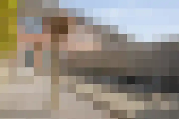 De Heerlijkheid 24 Tuk foto 2