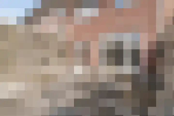 De Heerlijkheid 24 Tuk thumbnail 23