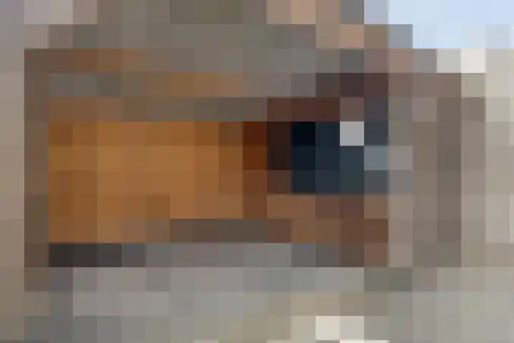 De Heerlijkheid 24 Tuk thumbnail 24