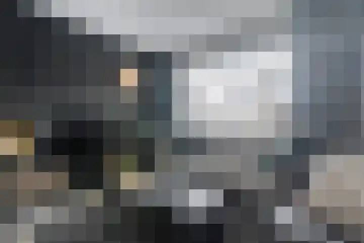 De Heerlijkheid 24 Tuk foto 3