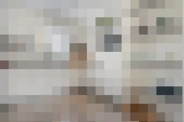De Heerlijkheid 24 Tuk thumbnail 8