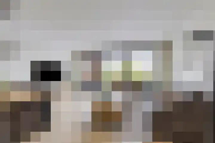 De Heerlijkheid 27 Hendrik-Ido-Ambacht thumbnail 10