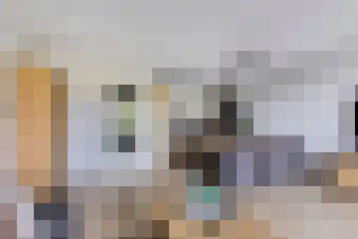 De Heerlijkheid 27 Hendrik-Ido-Ambacht thumbnail 12