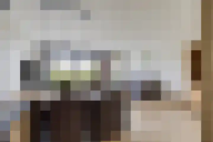 De Heerlijkheid 27 Hendrik-Ido-Ambacht thumbnail 13
