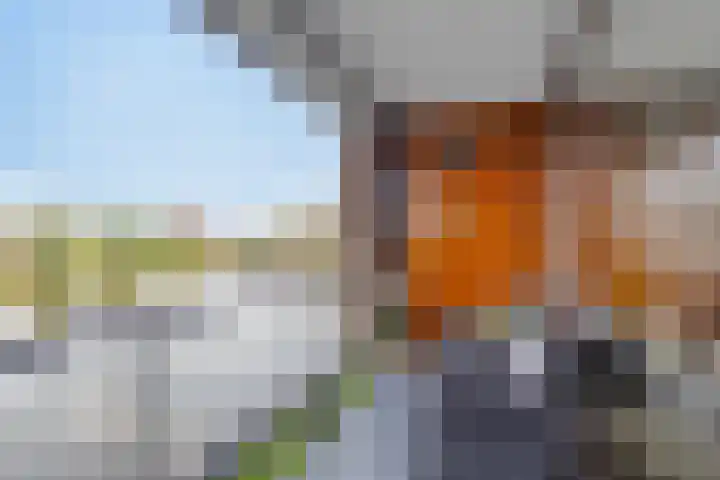 De Heerlijkheid 27 Hendrik-Ido-Ambacht thumbnail 14