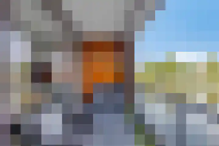 De Heerlijkheid 27 Hendrik-Ido-Ambacht thumbnail 15