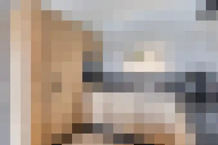 De Heerlijkheid 27 Hendrik-Ido-Ambacht thumbnail 18