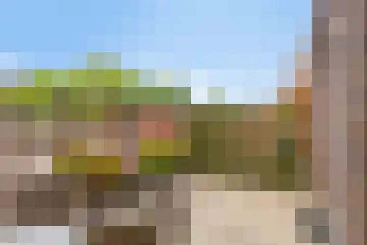 De Heerlijkheid 27 Hendrik-Ido-Ambacht thumbnail 25
