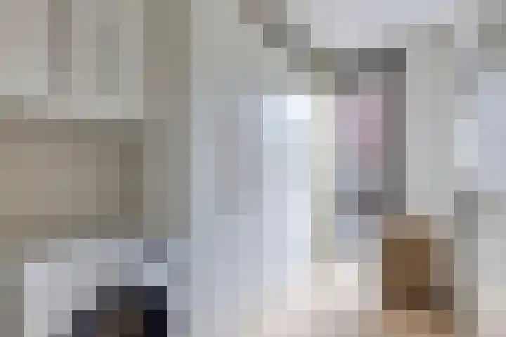 De Heerlijkheid 27 Hendrik-Ido-Ambacht thumbnail 26