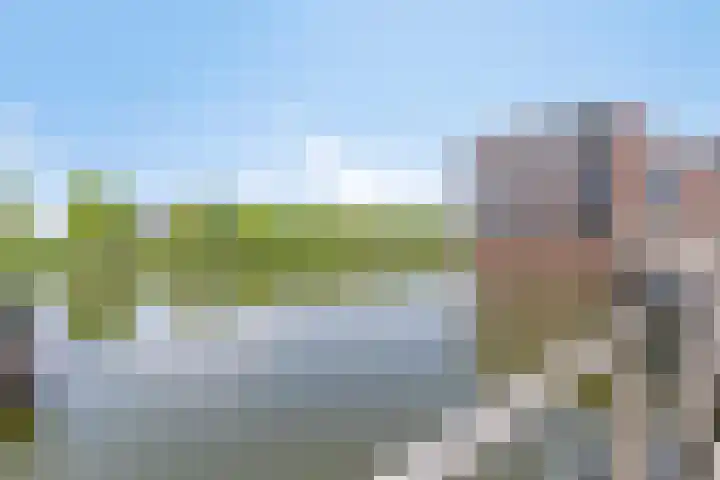 De Heerlijkheid 27 Hendrik-Ido-Ambacht thumbnail 28