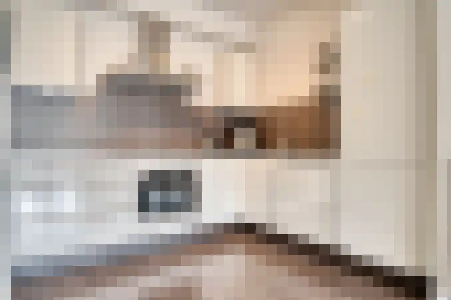 De Heerlijkheid 39 Hendrik-Ido-Ambacht thumbnail 32