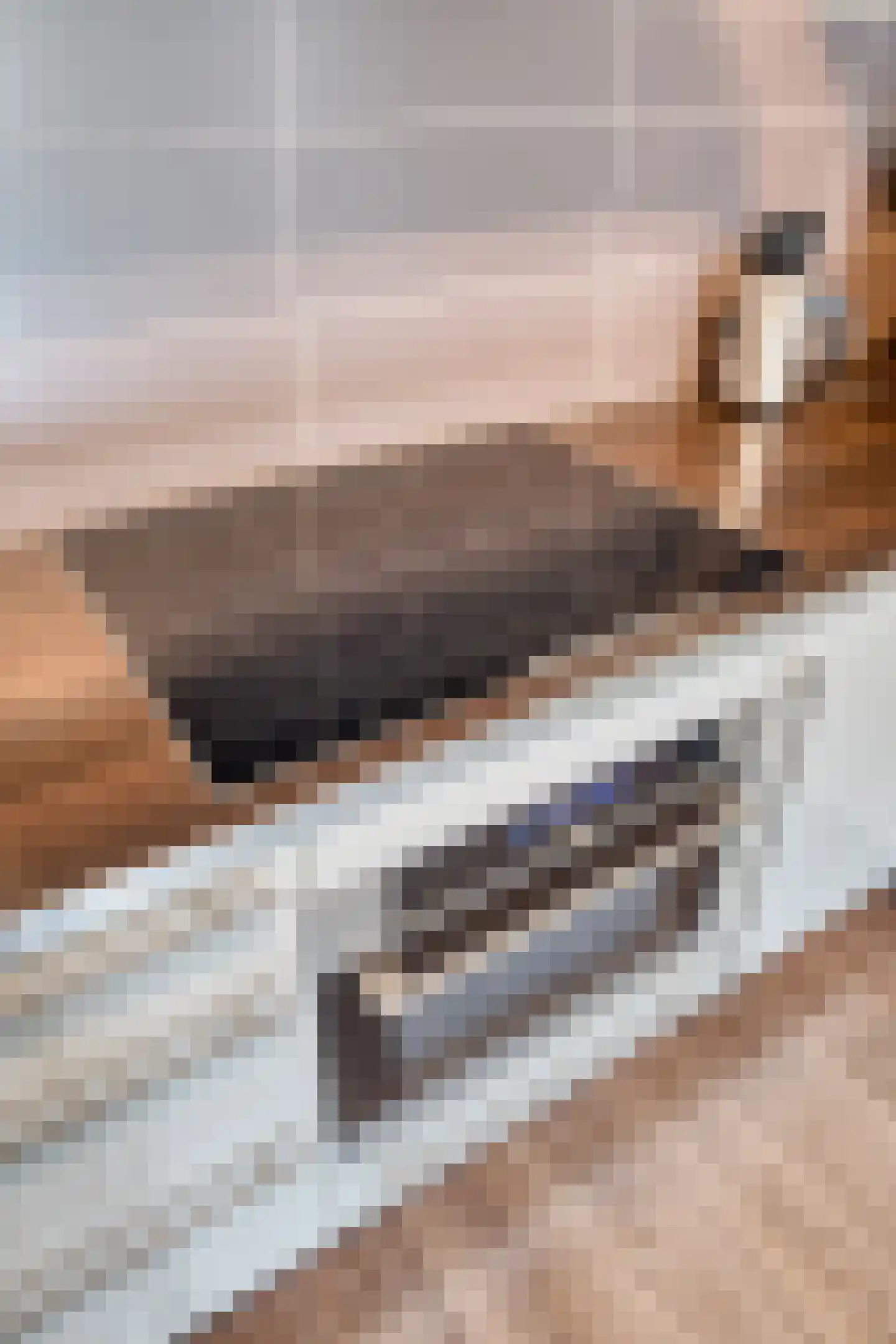 De Heerlijkheid 39 Hendrik-Ido-Ambacht thumbnail 33