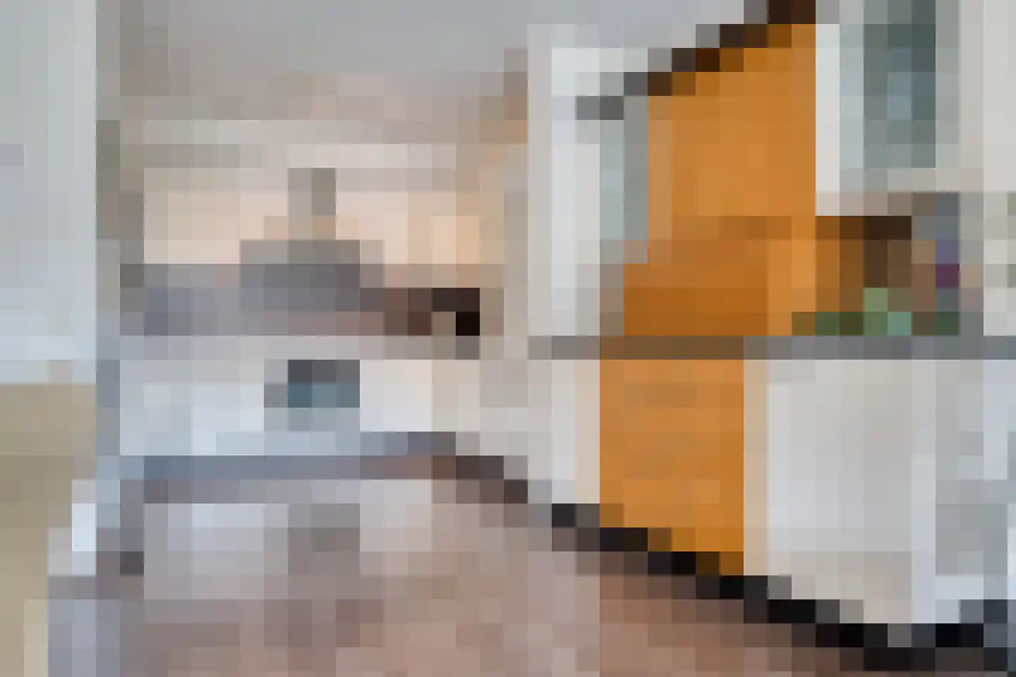 De Heerlijkheid 39 Hendrik-Ido-Ambacht thumbnail 4