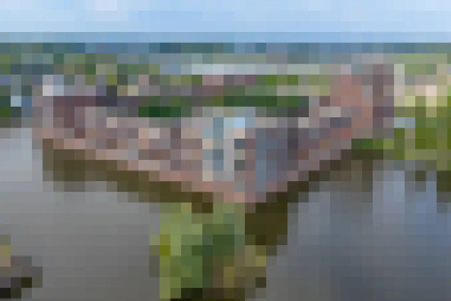 De Heerlijkheid 39 Hendrik-Ido-Ambacht thumbnail 6