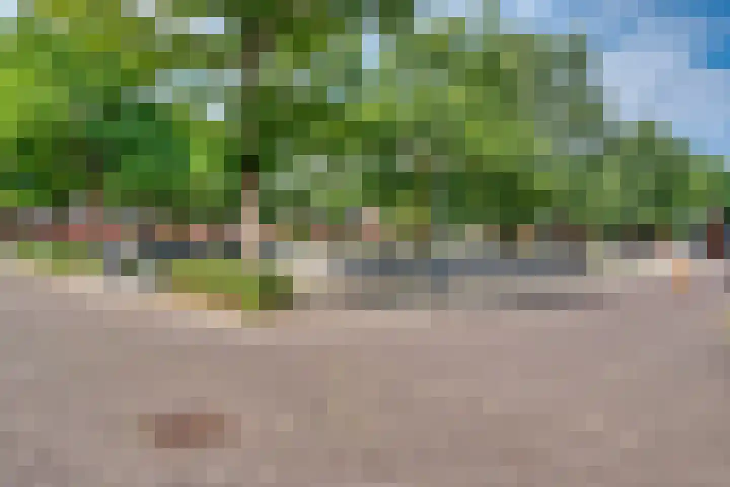 De Heerlijkheid 39 Hendrik-Ido-Ambacht thumbnail 8
