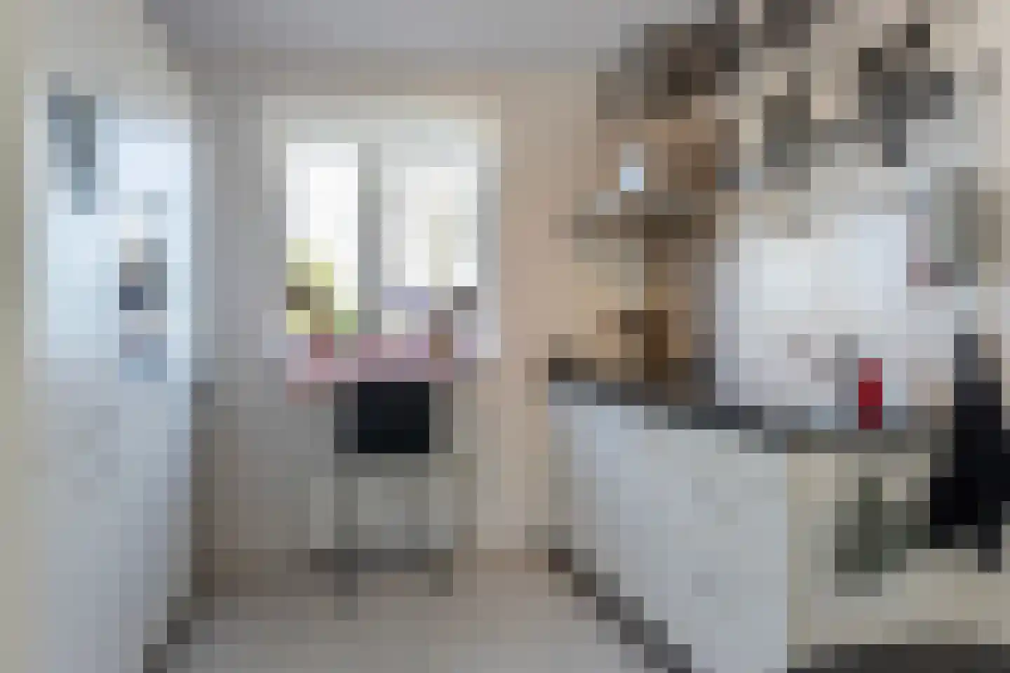 De Heerlijkheid 46 Tuk thumbnail 11