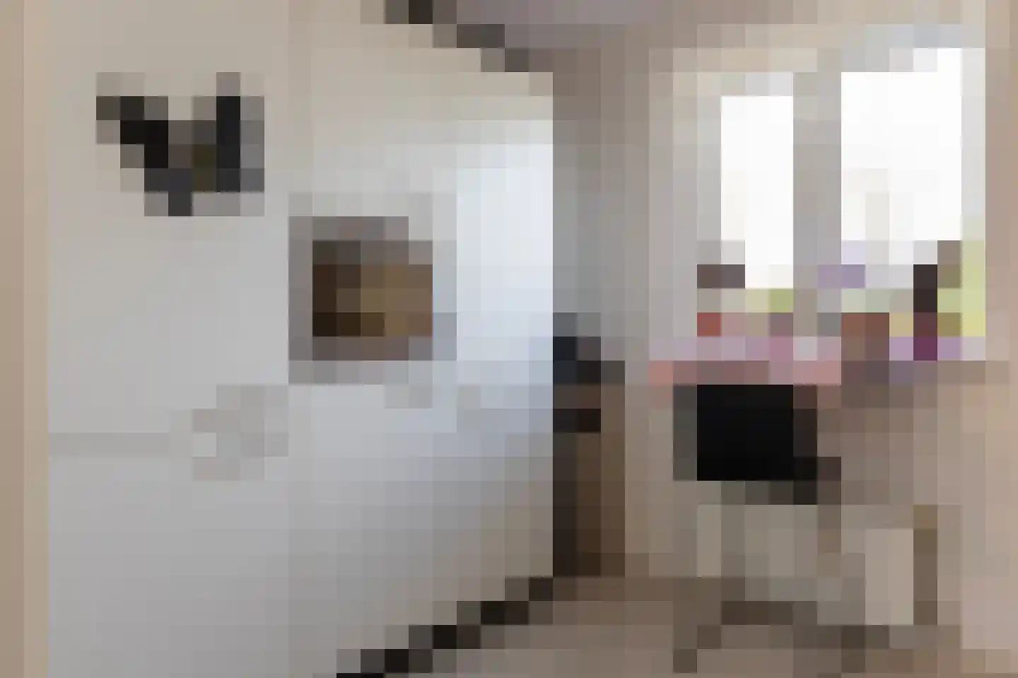 De Heerlijkheid 46 Tuk thumbnail 13