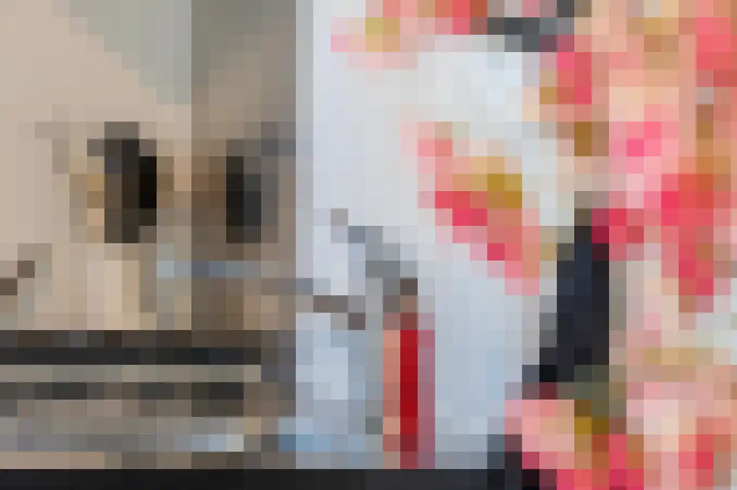 De Heerlijkheid 46 Tuk thumbnail 14