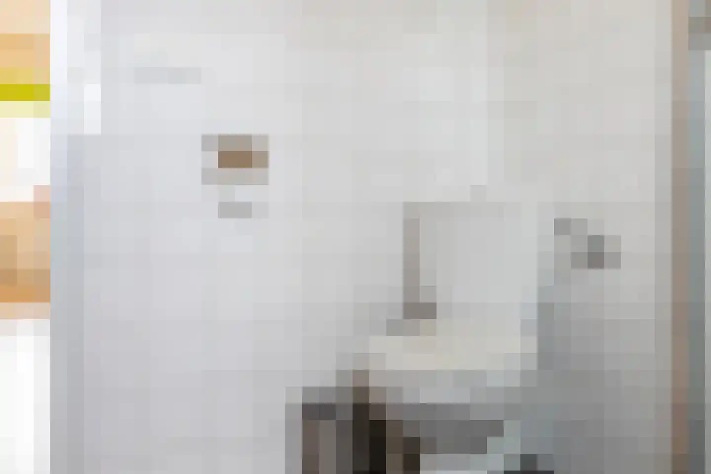 De Heerlijkheid 46 Tuk thumbnail 27