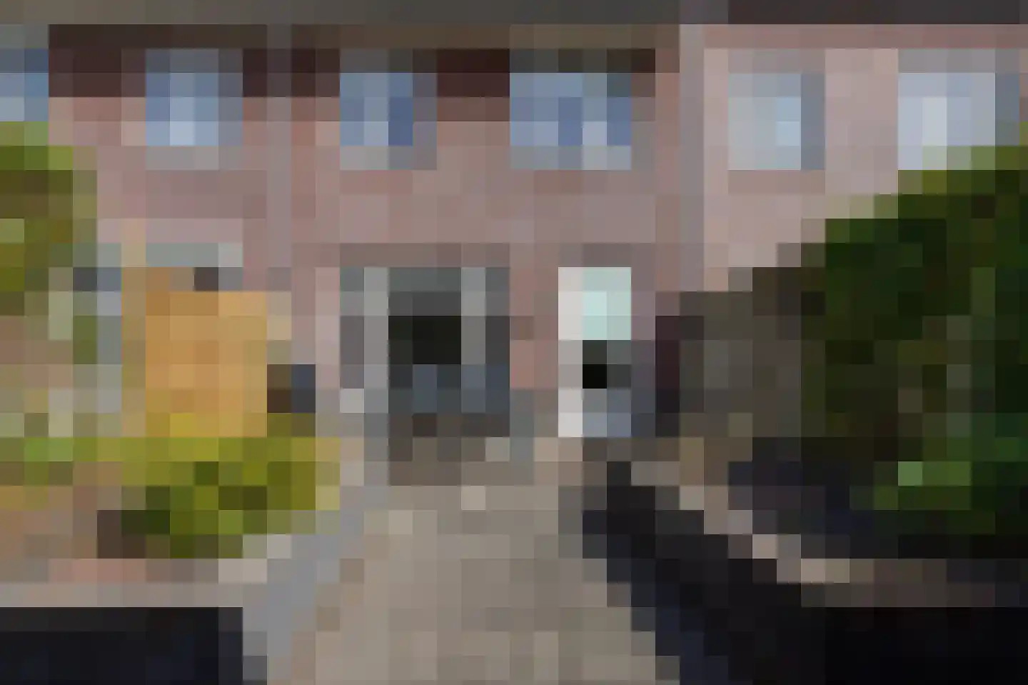 De Heerlijkheid 46 Tuk thumbnail 33