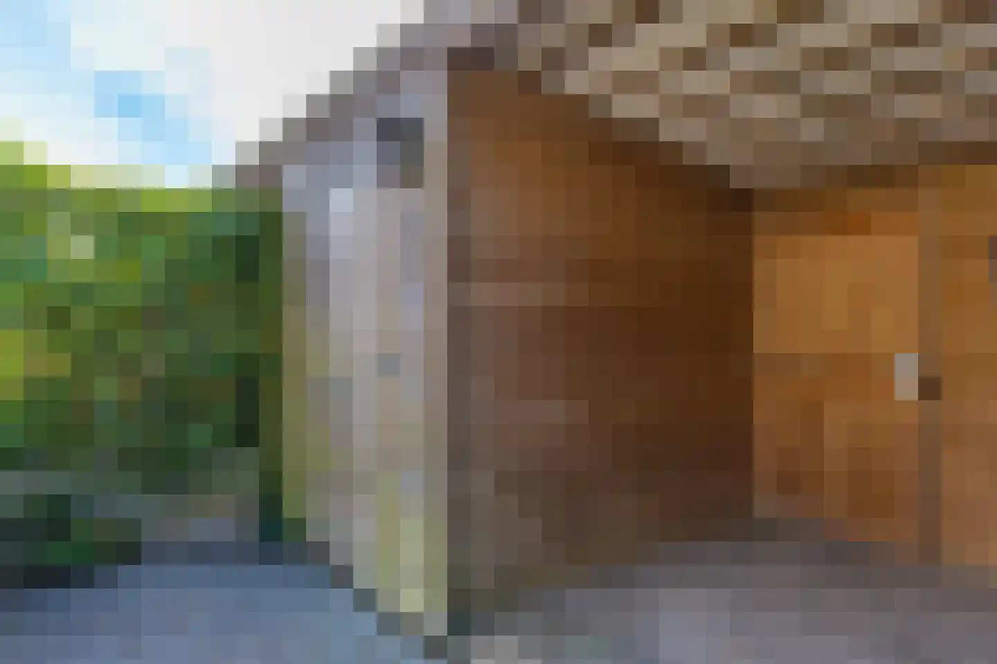De Heerlijkheid 46 Tuk thumbnail 35