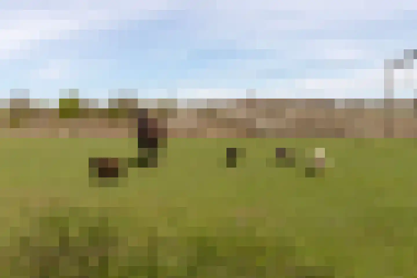 De Heerlijkheid 46 Tuk thumbnail 39