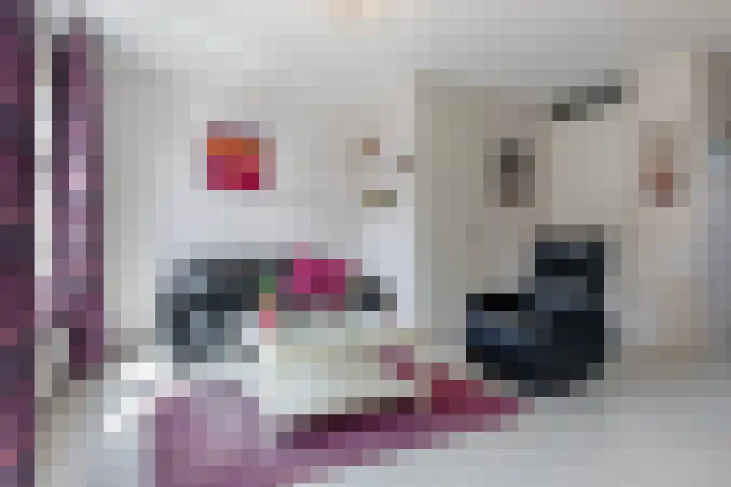 De Heerlijkheid 46 Tuk thumbnail 6