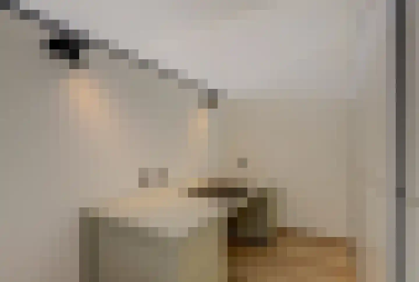 De Heerlijkheid 63 Hendrik-Ido-Ambacht thumbnail 28