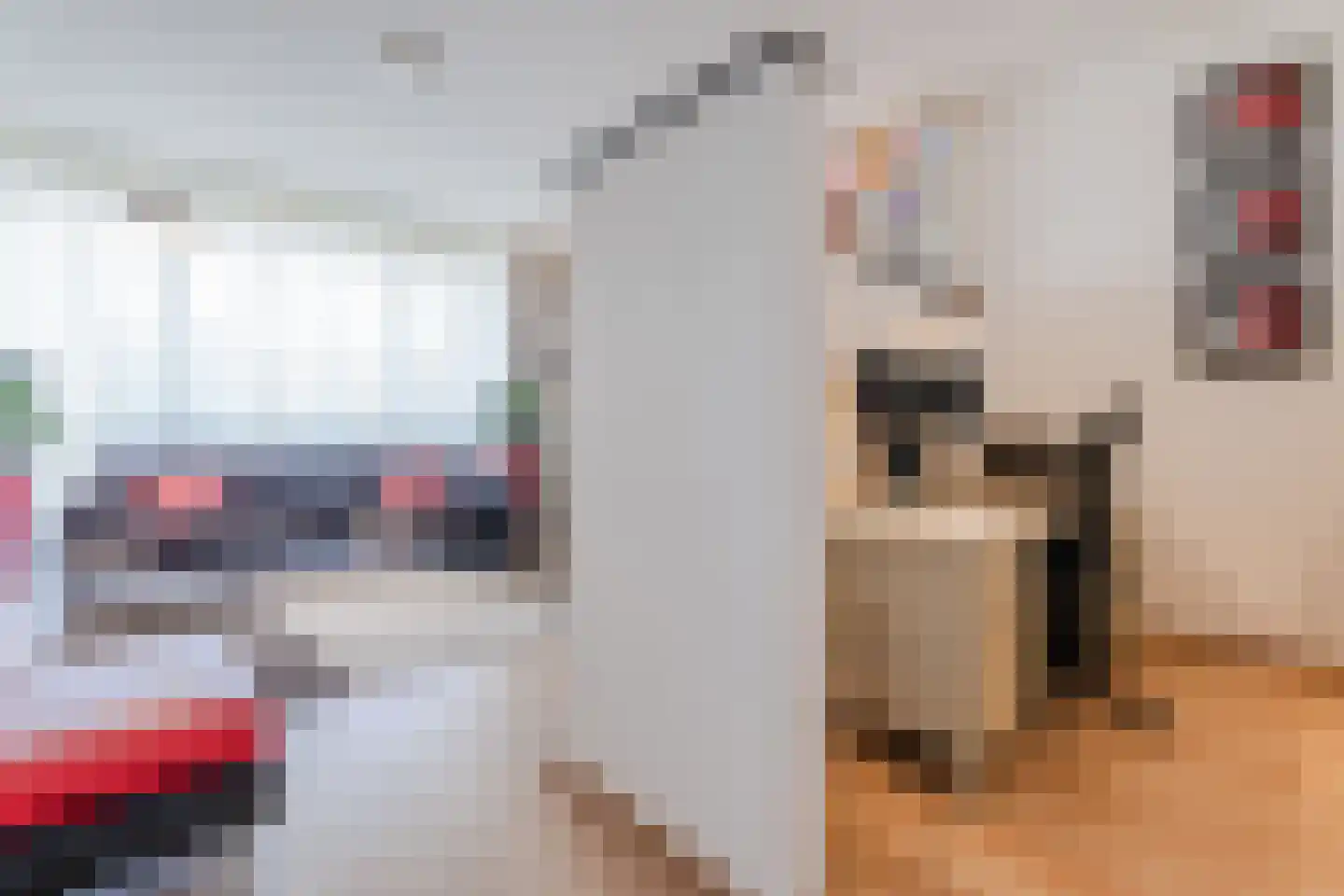 De Heerlijkheid 63 Hendrik-Ido-Ambacht thumbnail 32