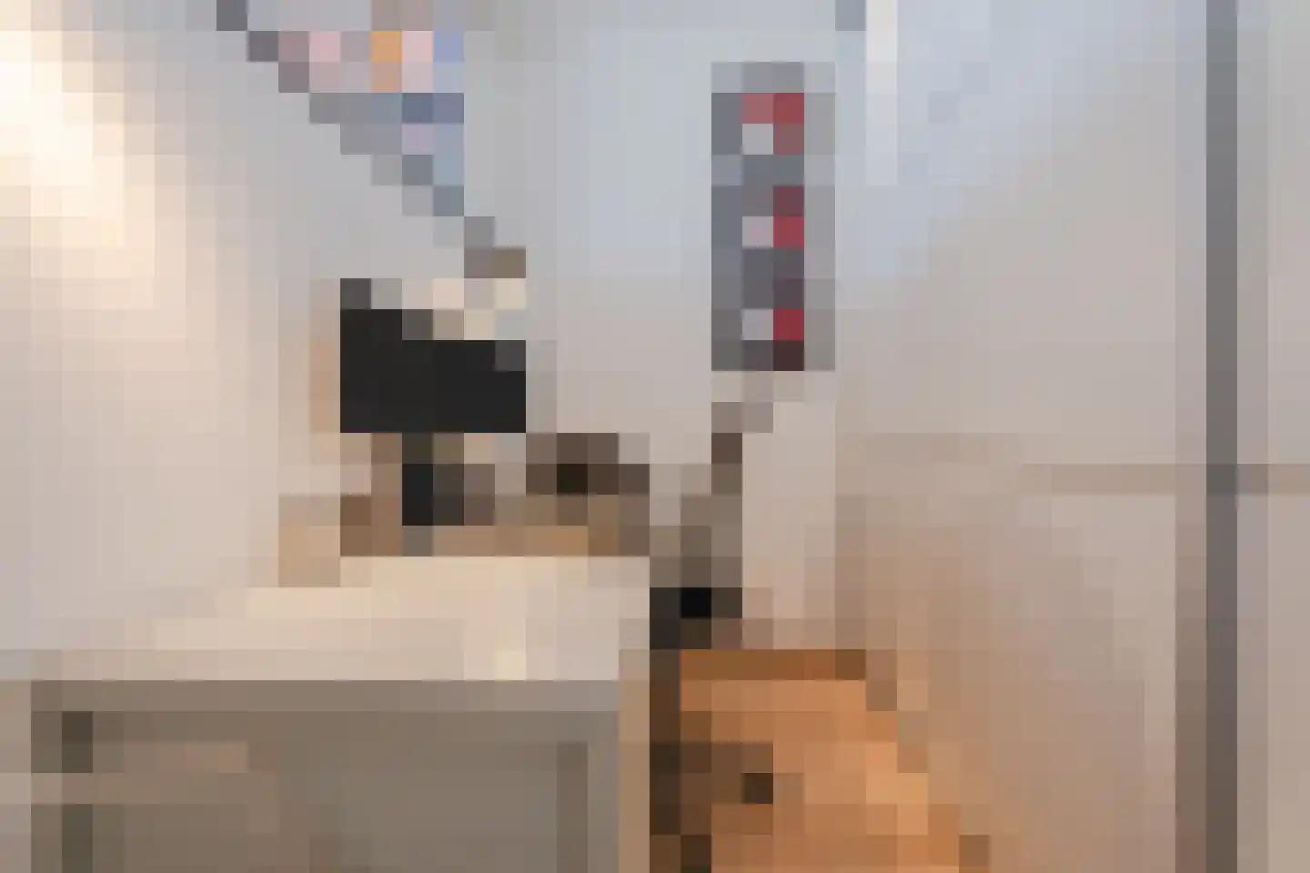 De Heerlijkheid 63 Hendrik-Ido-Ambacht thumbnail 33