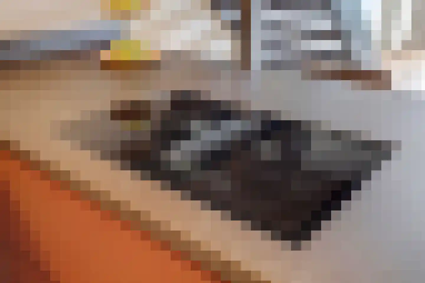 De Heerlijkheid 63 Hendrik-Ido-Ambacht thumbnail 35