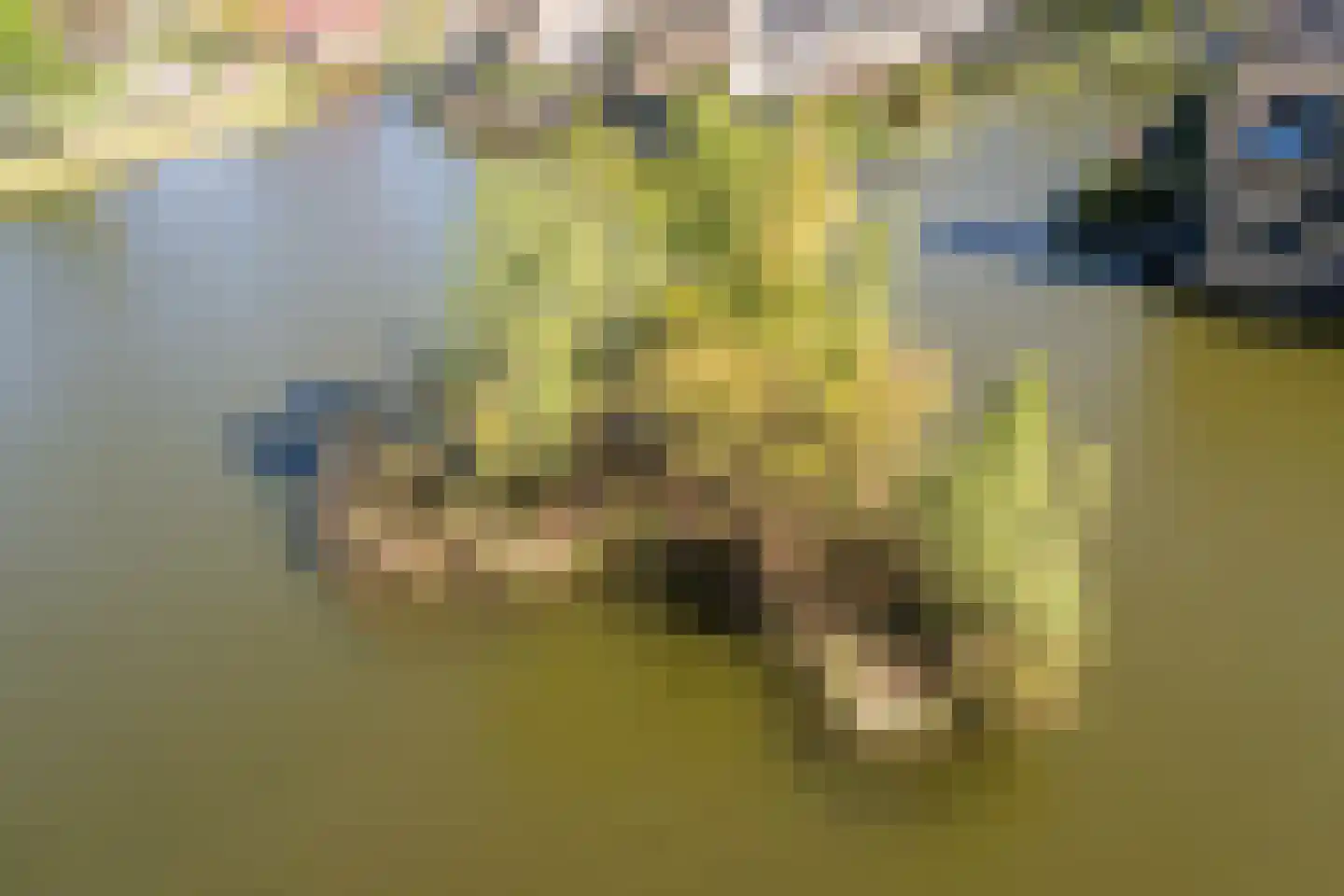 De Heerlijkheid 63 Hendrik-Ido-Ambacht thumbnail 36