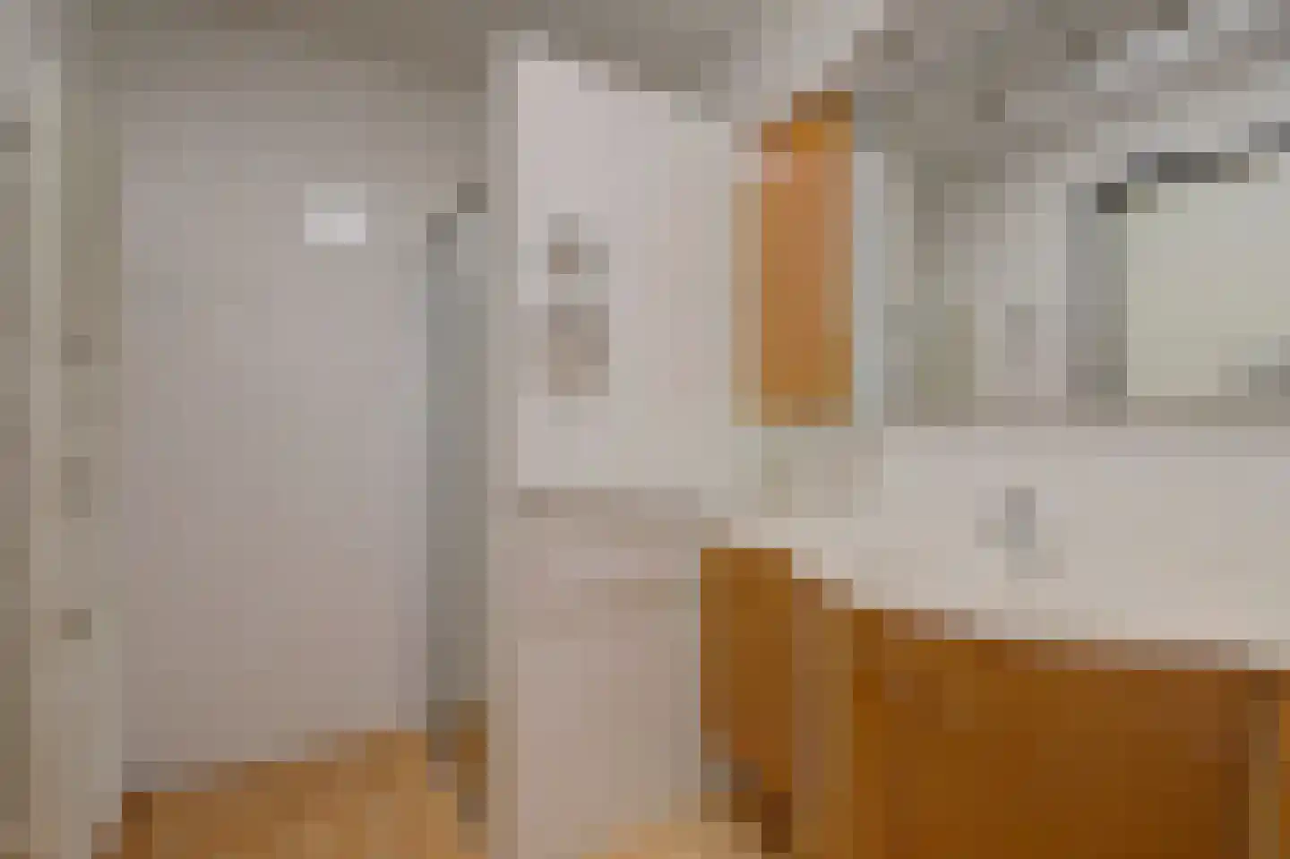 De Heerlijkheid 63 Hendrik-Ido-Ambacht thumbnail 41