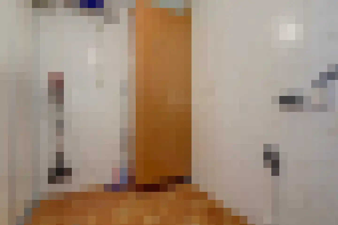 De Heerlijkheid 63 Hendrik-Ido-Ambacht thumbnail 42