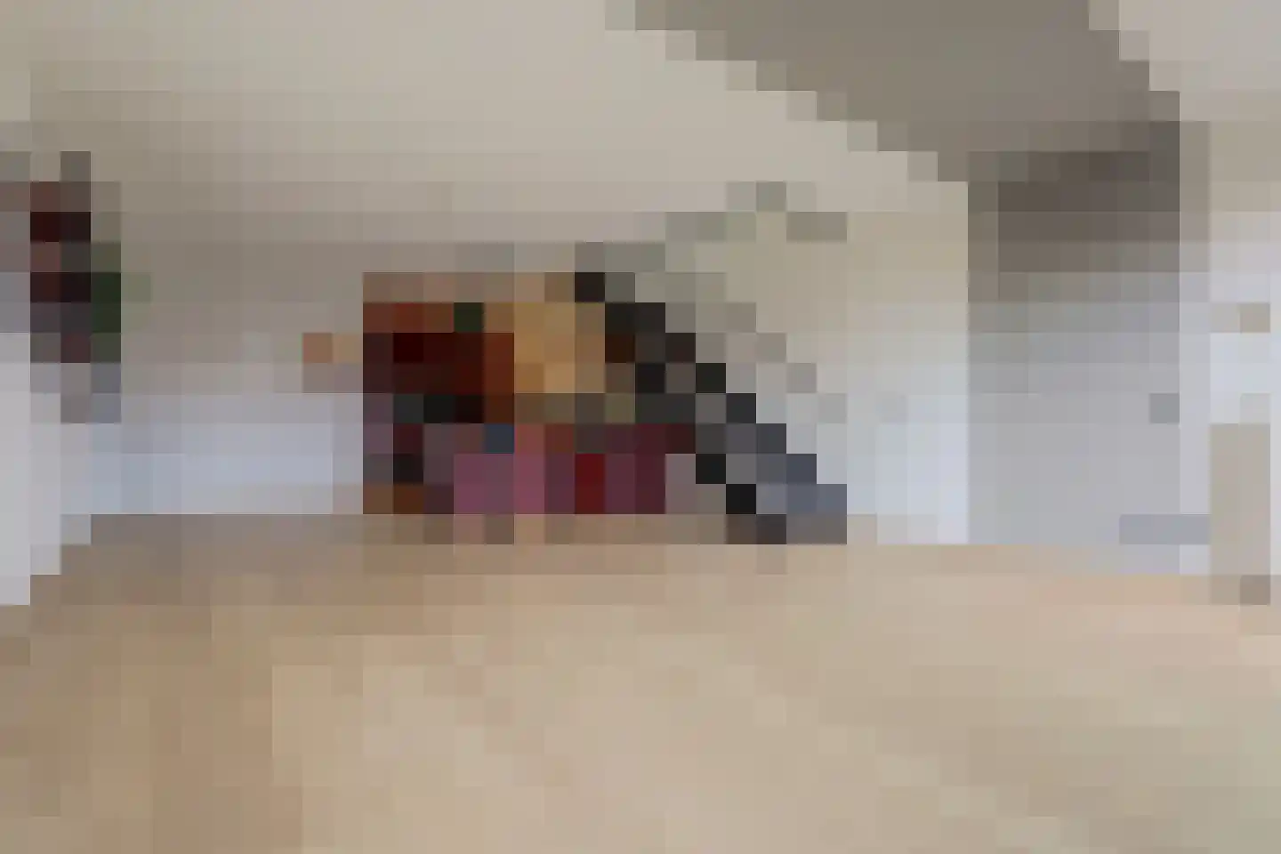De Heerlijkheid 63 Hendrik-Ido-Ambacht thumbnail 8