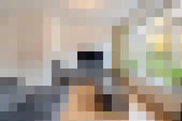De Heerlijkheid 94 Tuk thumbnail 11
