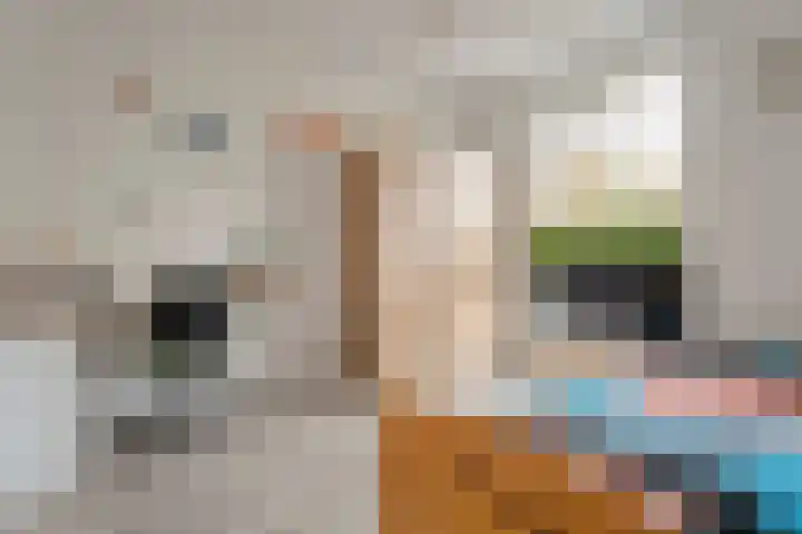 De Heerlijkheid 94 Tuk thumbnail 21