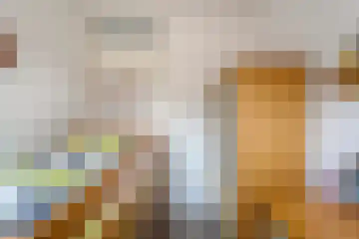 De Heerlijkheid 94 Tuk thumbnail 24