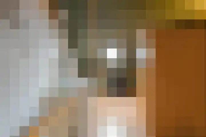 De Heerlijkheid 94 Tuk thumbnail 30