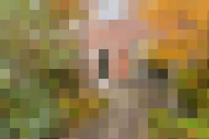 De Heerlijkheid 94 Tuk thumbnail 31