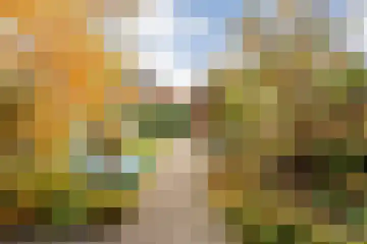 De Heerlijkheid 94 Tuk thumbnail 32