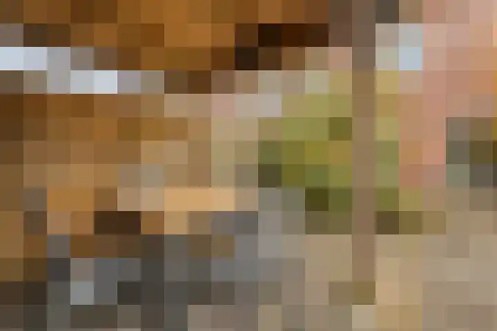De Heerlijkheid 94 Tuk thumbnail 34