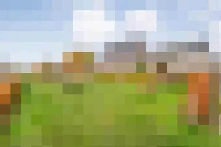 De Heerlijkheid 94 Tuk thumbnail 44