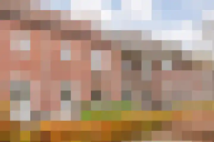 De Heerlijkheid 94 Tuk thumbnail 5