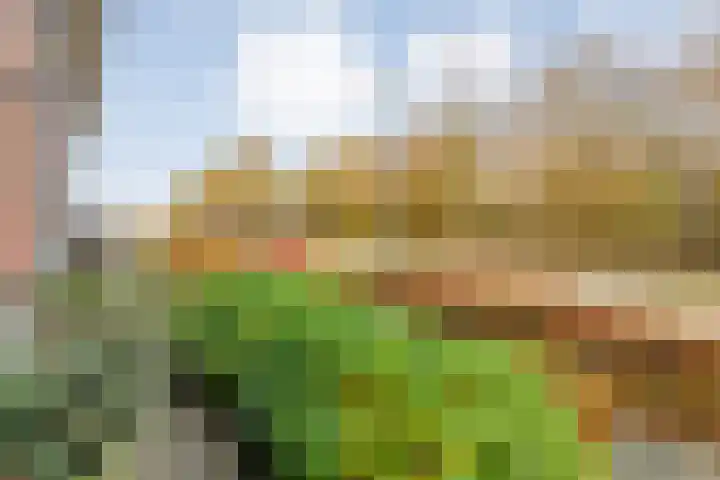 De Heerlijkheid 94 Tuk thumbnail 6