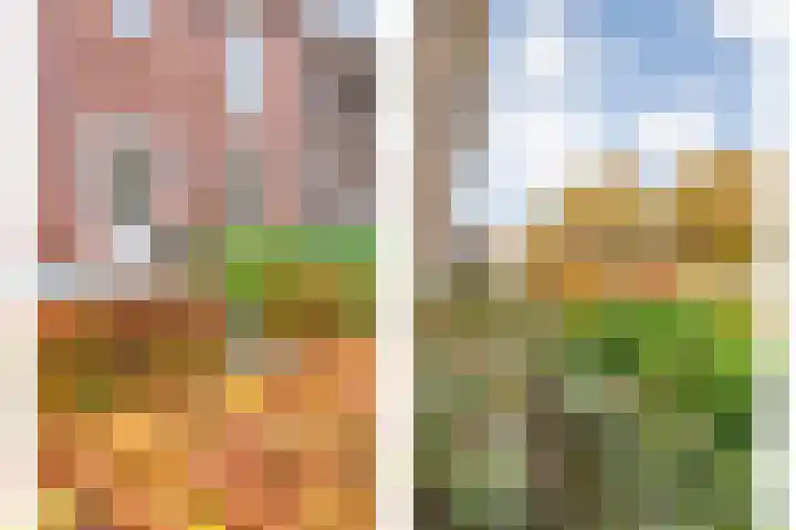 De Heerlijkheid 94 Tuk thumbnail 7