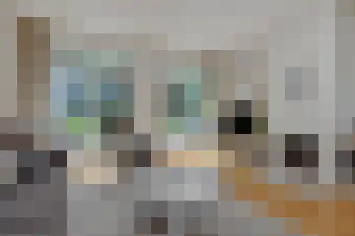 De Heerlijkheidlaan 4 Berlicum thumbnail 10