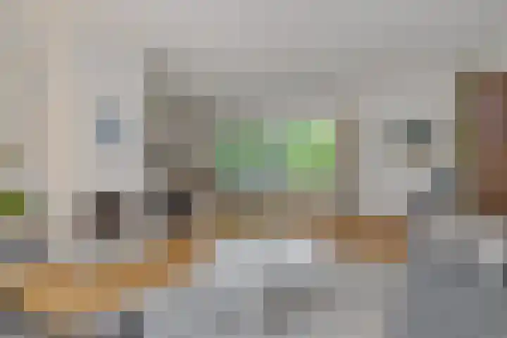 De Heerlijkheidlaan 4 Berlicum thumbnail 12