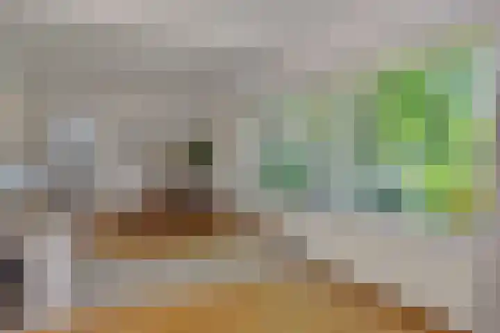 De Heerlijkheidlaan 4 Berlicum thumbnail 14