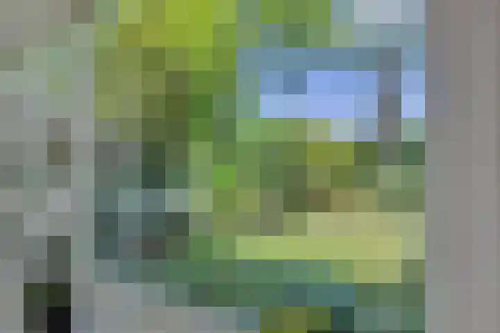 De Heerlijkheidlaan 4 Berlicum thumbnail 15